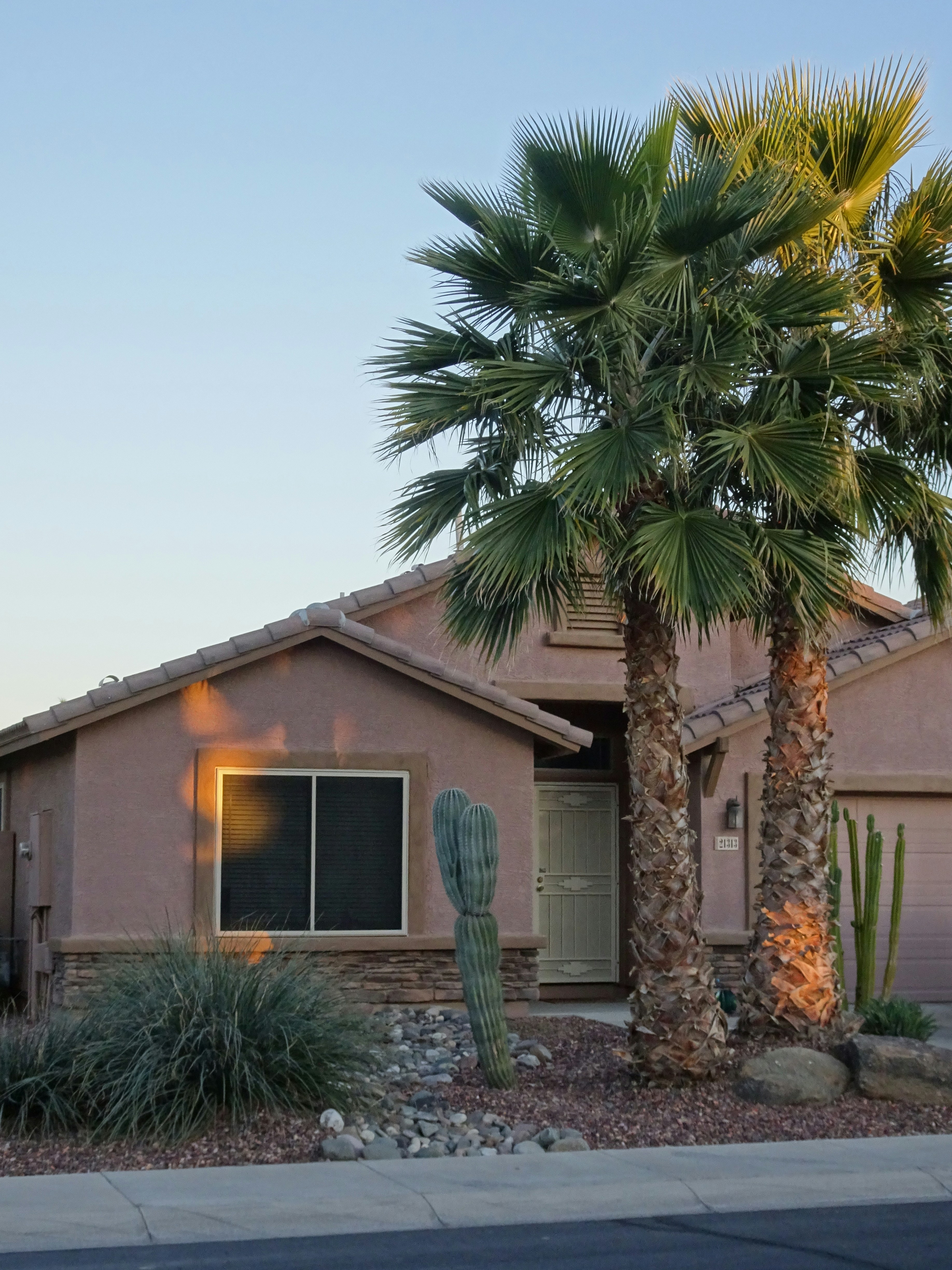 Arizona home at dusk with palm trees and cactus